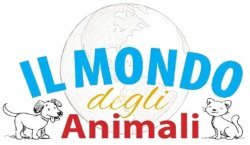 MONGE CANE ALL BREEDS ADULT SALMONE & RISO